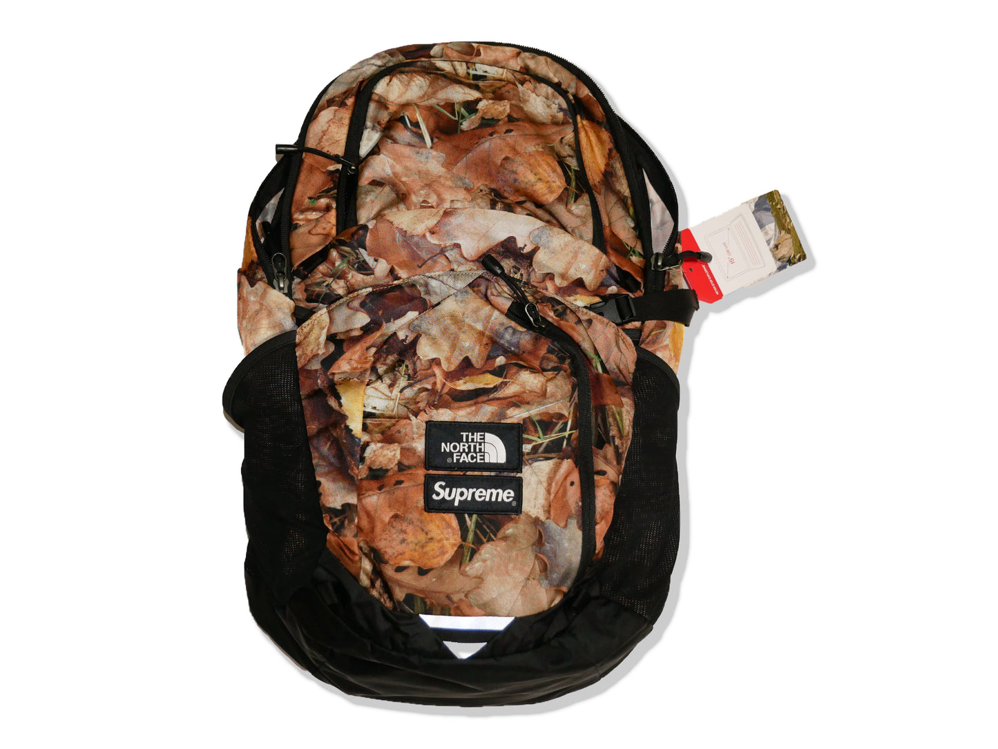 Pocono Leaves Backpack (2016)